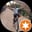 Yogesh P.
